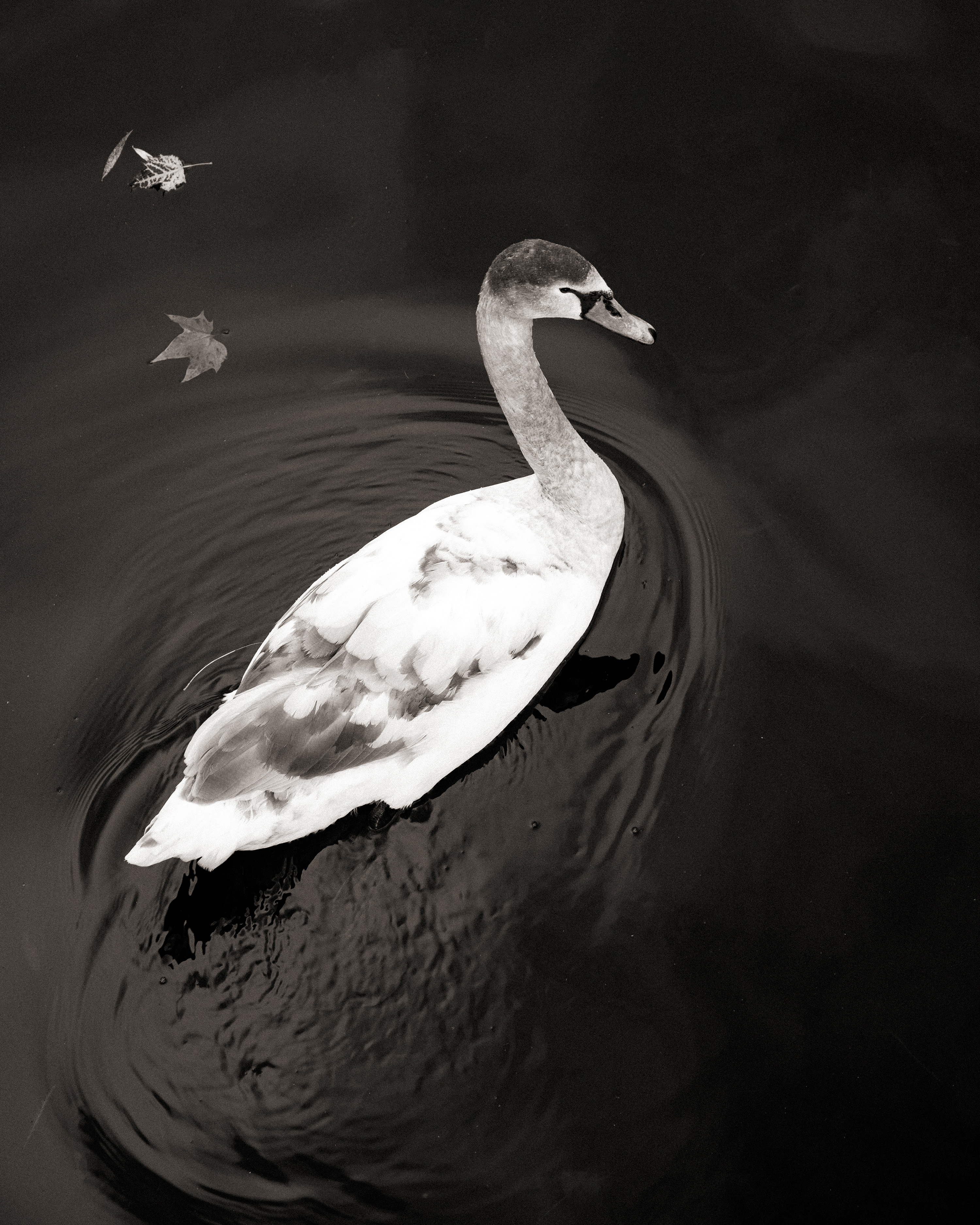Photography by Alo Creative