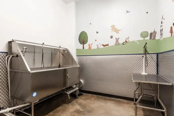 Dog wash