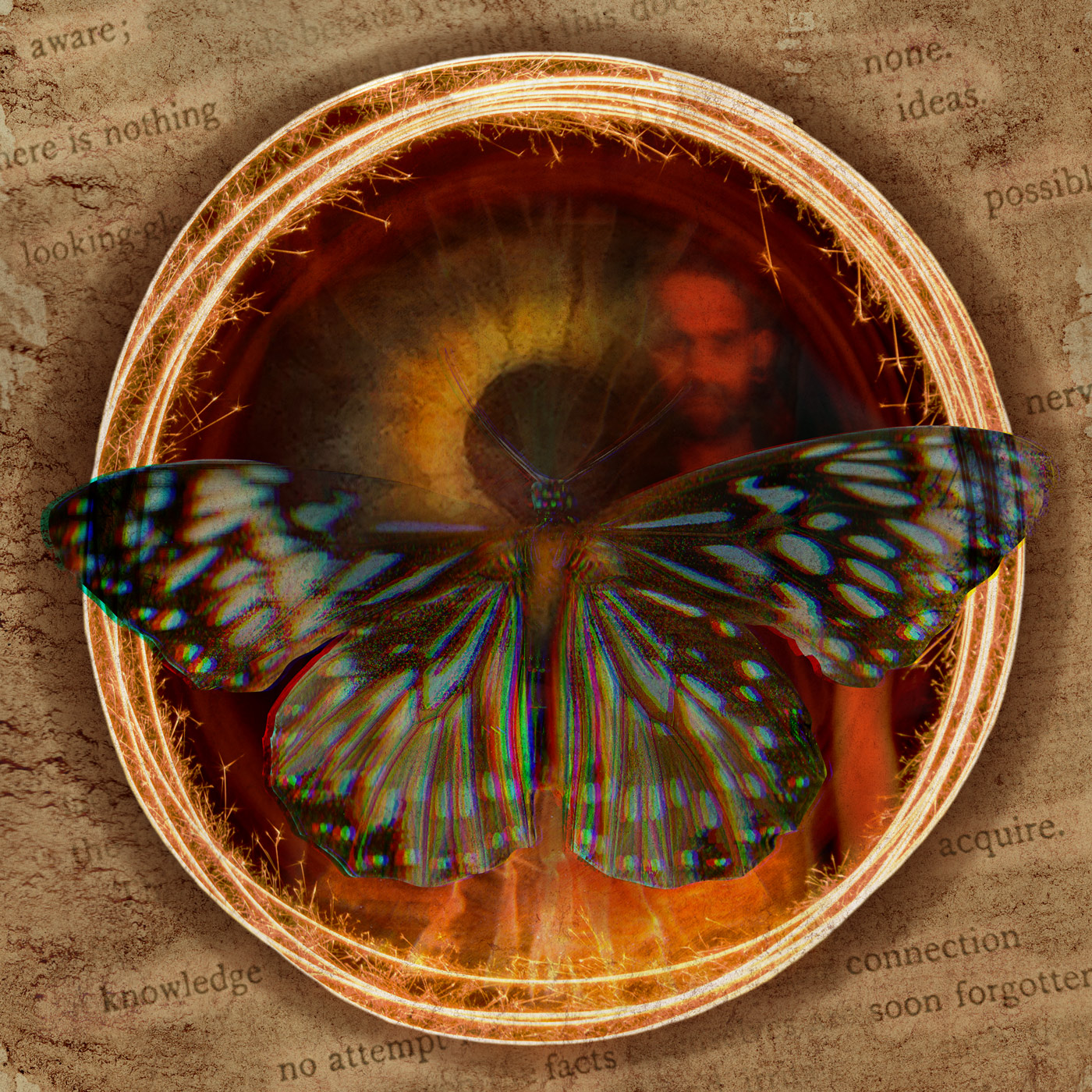 Layered mixed-media composition featuring a real butterfly over a human figure, circular forms and distressed paper textures.