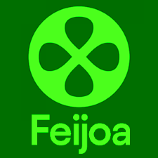 Feijoa