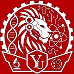 York University logo