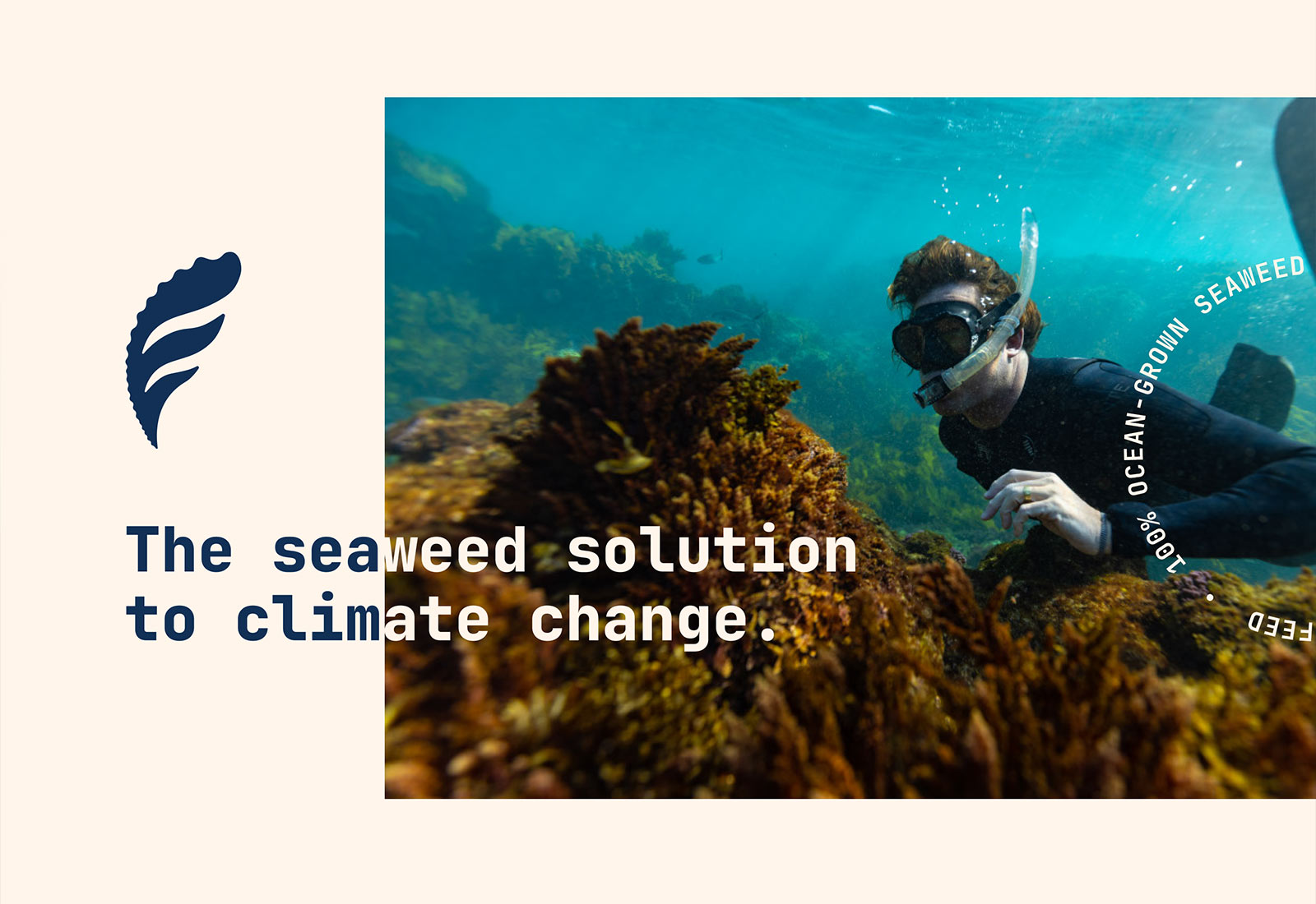 Fremantle Seaweed brand identity design by Four Stripes, image 6.