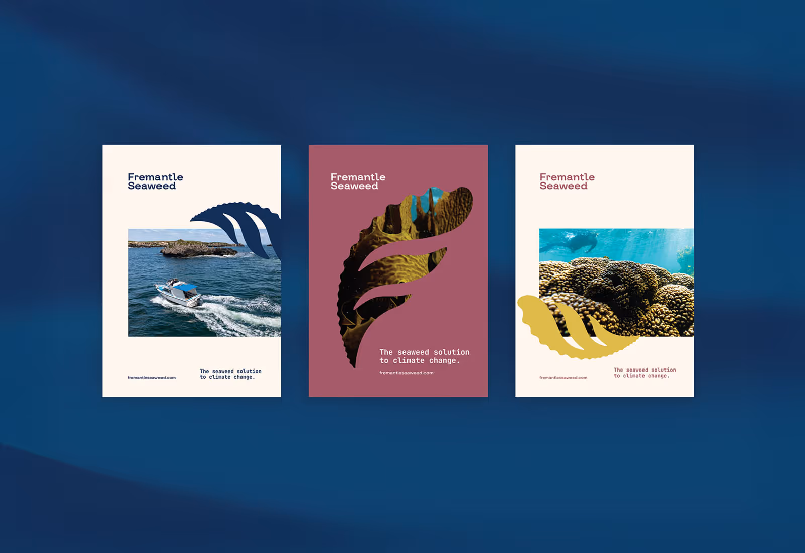 Fremantle Seaweed brand identity design by Four Stripes, image 14.