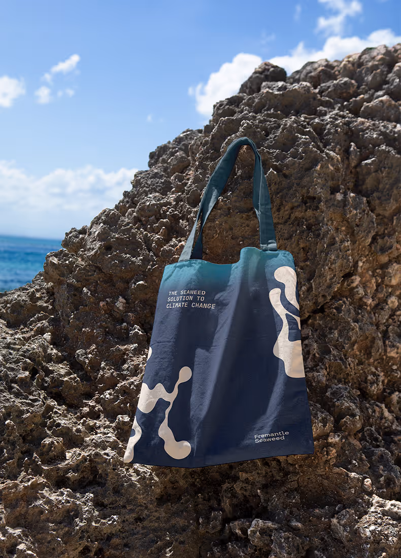 Fremantle Seaweed brand identity design by Four Stripes, image 15.
