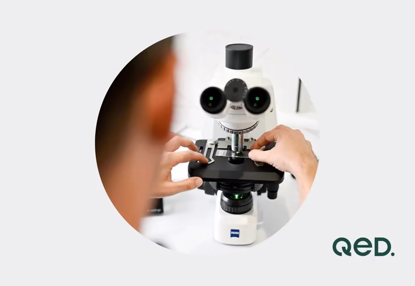Close-up of hands adjusting a white Zeiss microscope in a lab setting.