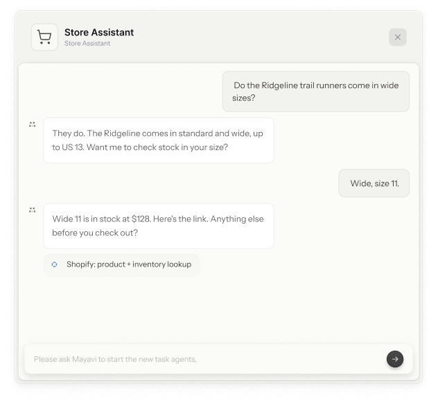 An AI teammate for your Shopify store.