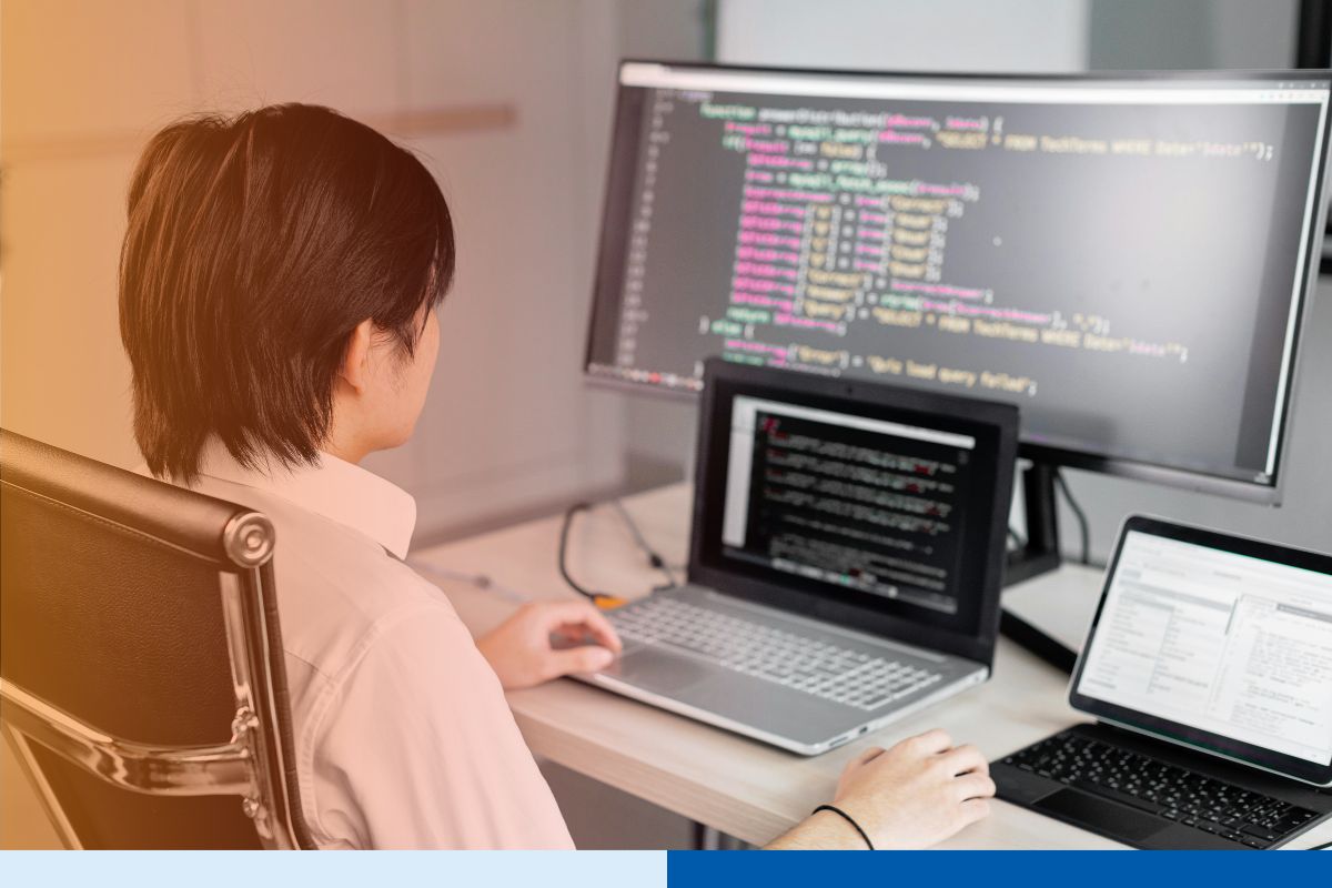 Offshore software developer multi monitor setup