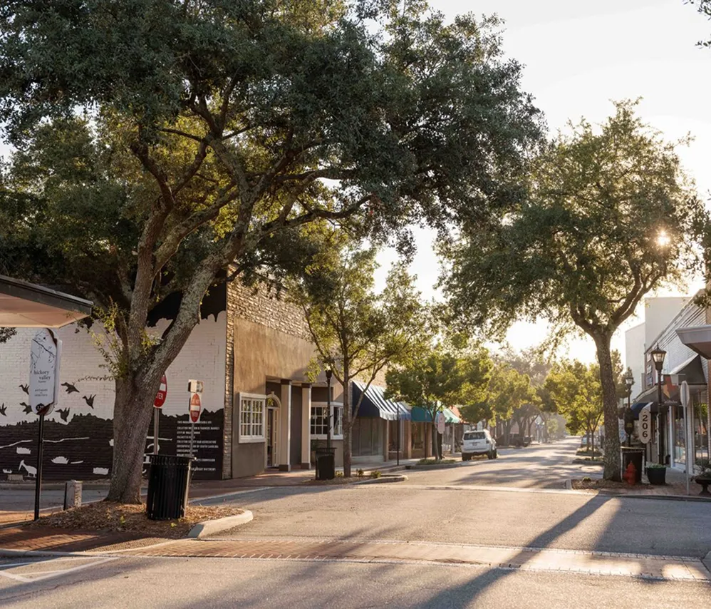 Tree-lined street in downtown Walterboro at sunset