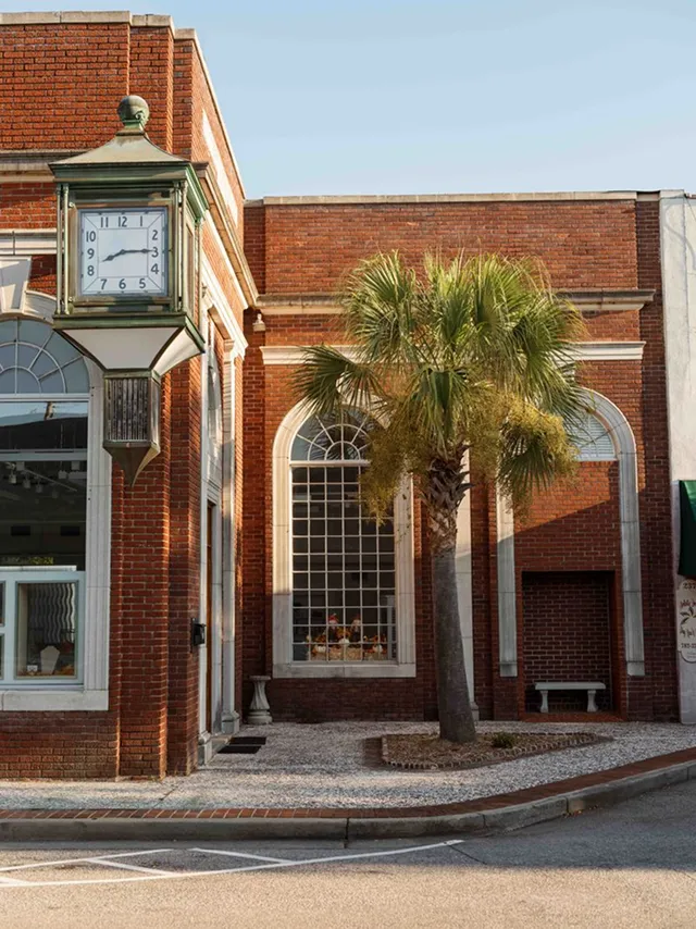 Historic street clock and palm tree in downtown Walterboro