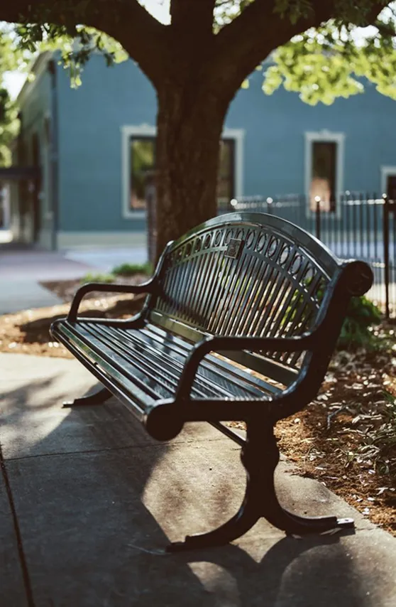 Hartsville public bench beneath a large shade tree