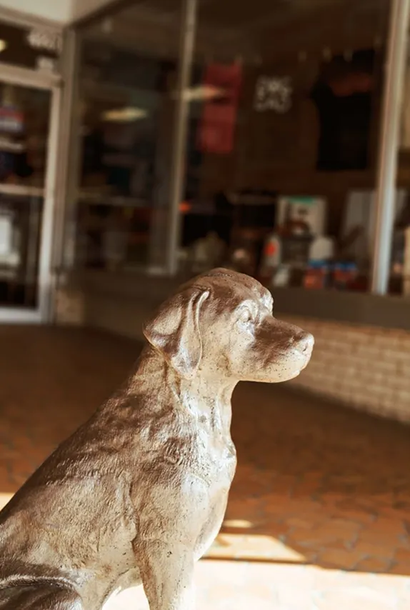 Decorative dog statue inside a Hartsville shop