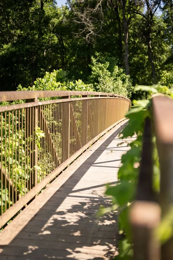 Curved pedestrian bridge surrounded by greenery in Cheraw