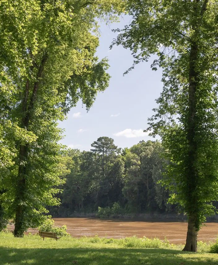 View of the Great Pee Dee River through trees in Cheraw