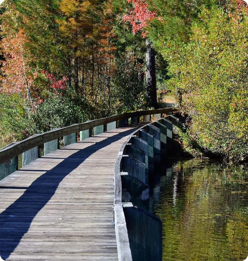 Curved wooden boardwalk over water surrounded by autumn trees