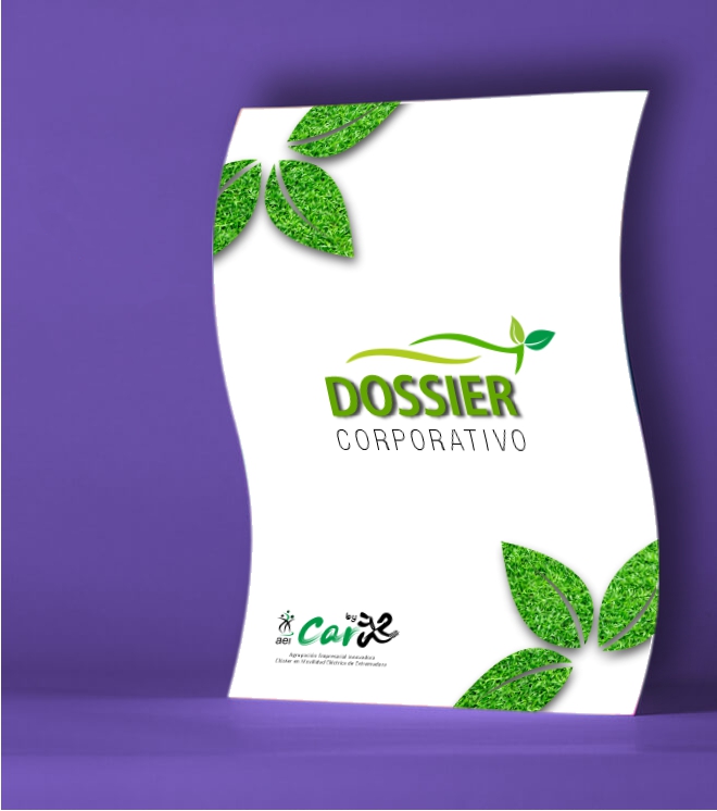 Dossier Digital