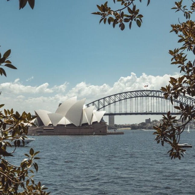 Sydney Opera House and Harbour Bridge framed by tree branches over water under a blue sky.