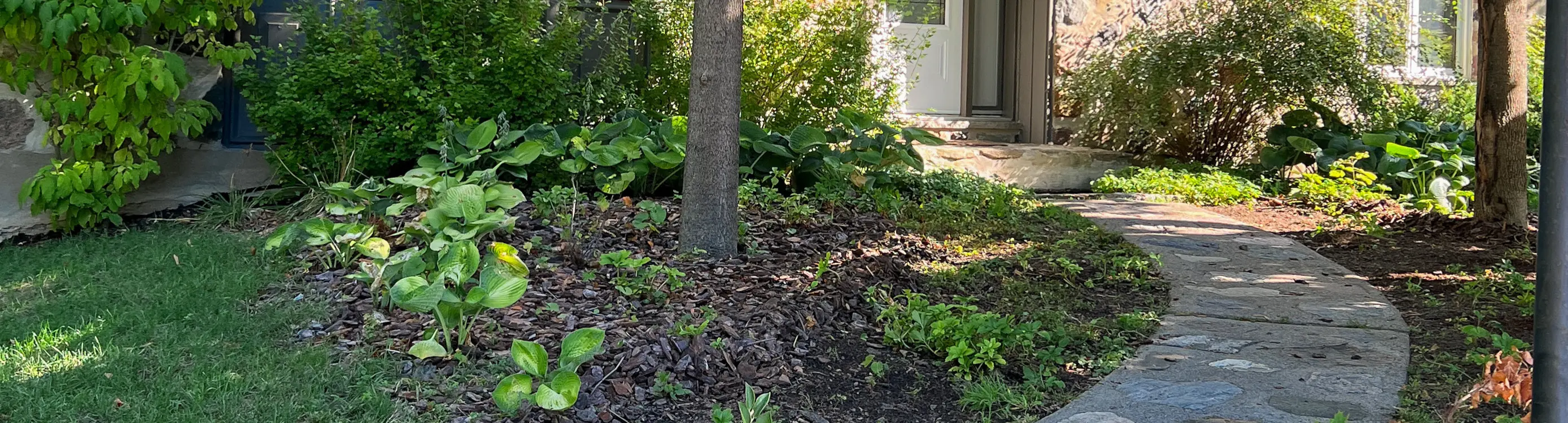Jardin verdoyant avec un arbre central, des plantes, et un sentier en pierres menant à une porte blanche.