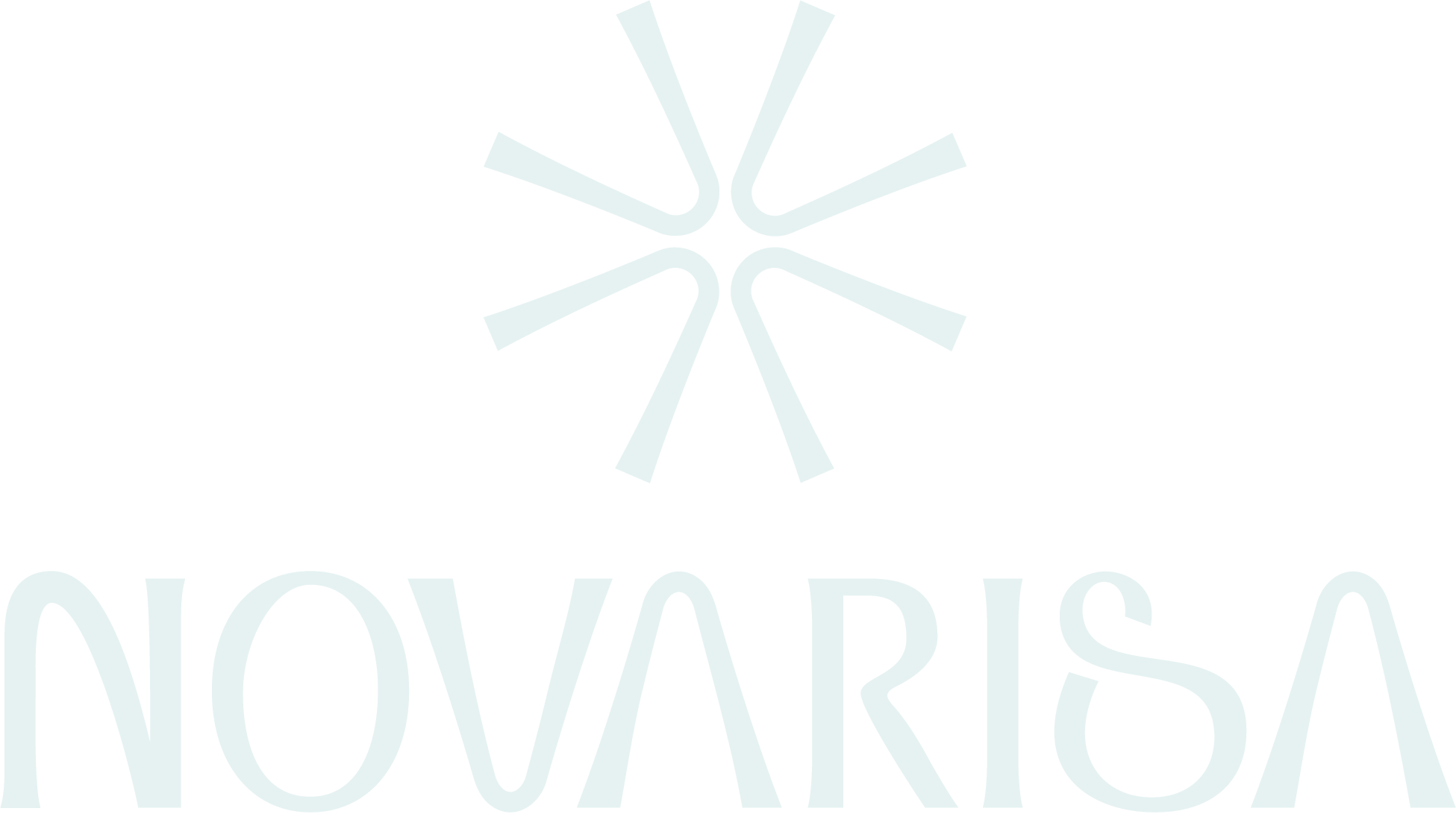 Novarisa logo