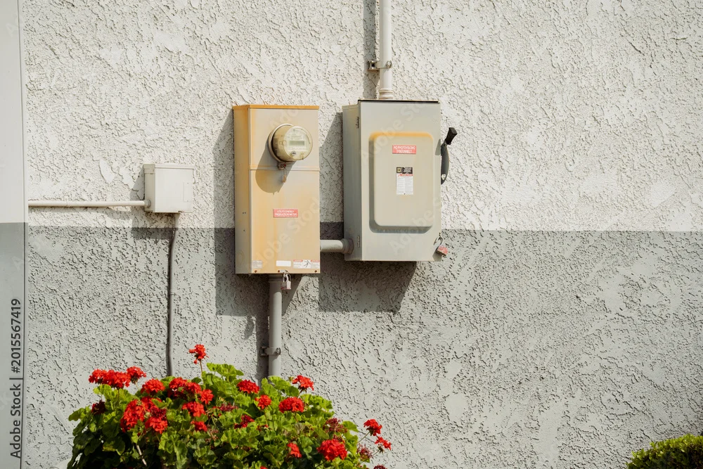 Outdoor electrical meter and breaker box mounted on a textured wall with flowers