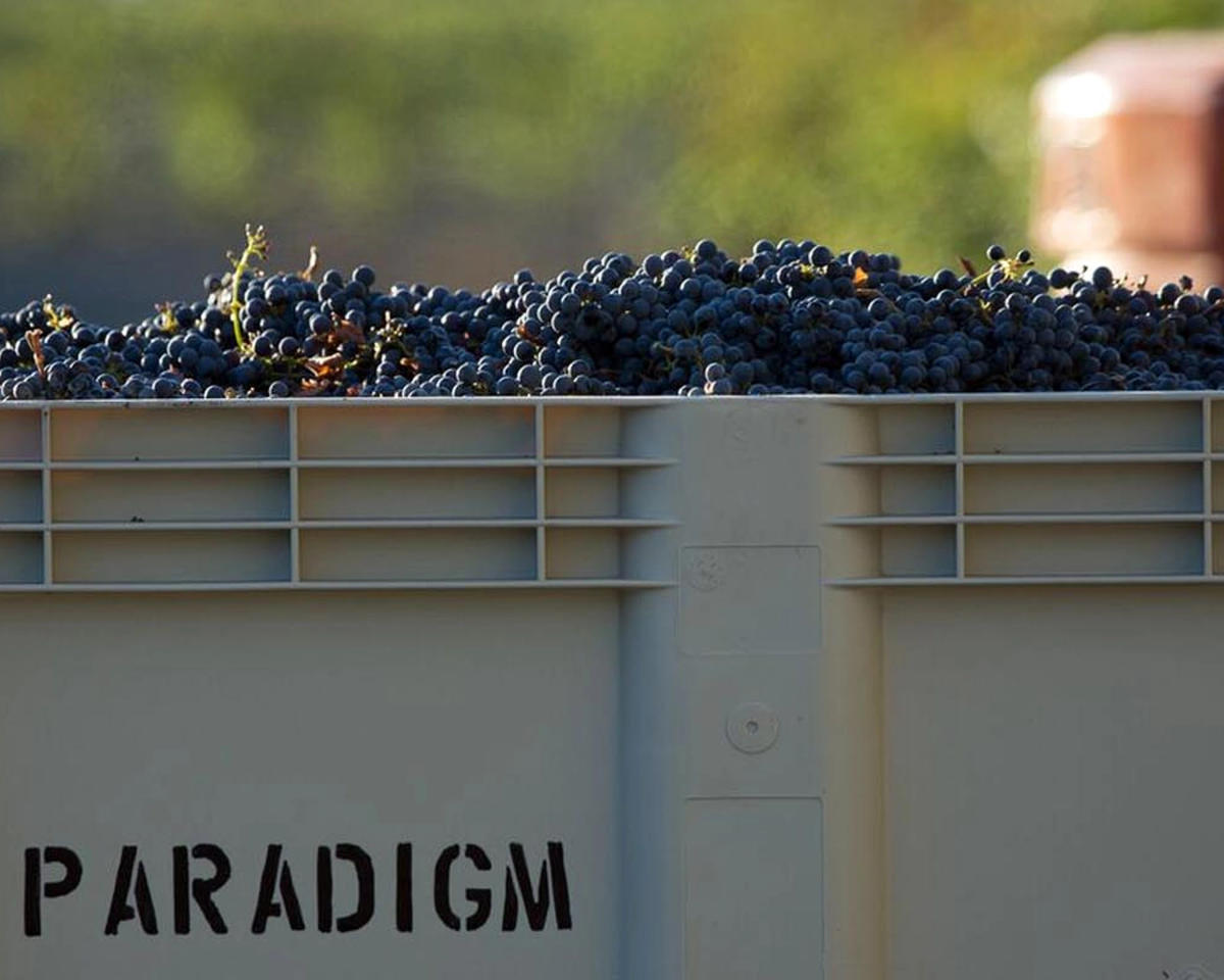 Paradigm Winery