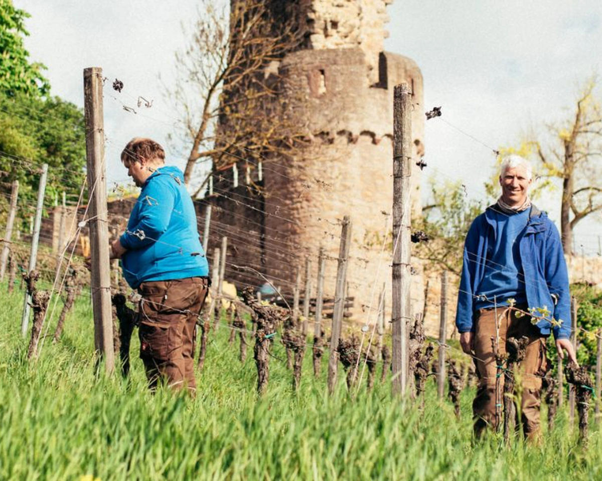 Weingut Lebenshilfe