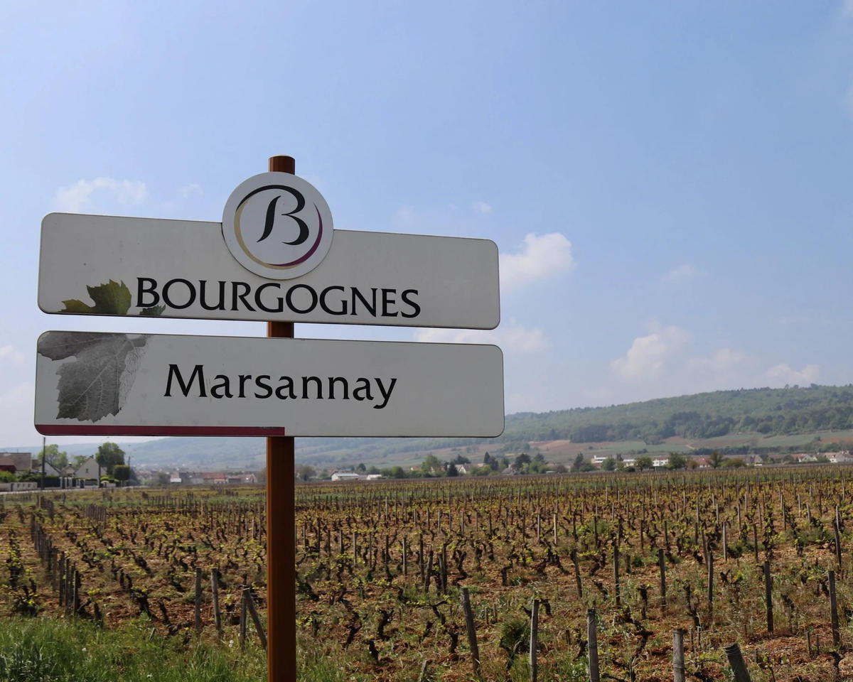 Domaine Fournier