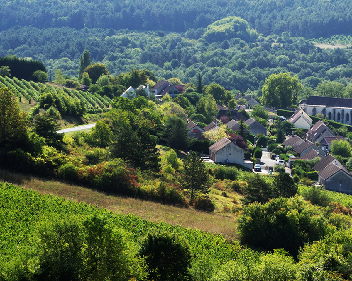 Nuiton-Beaunoy