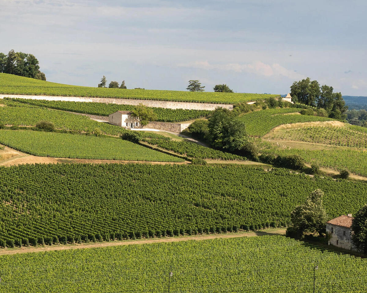 Château Tour de Yon