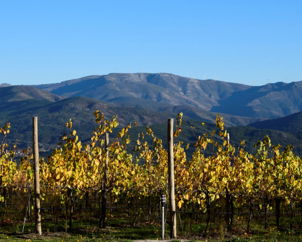 Santa Cristina
