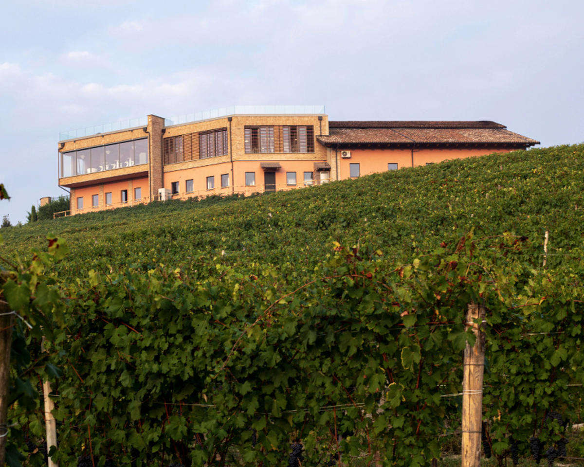 Azienda Agricola Mauro Molino
