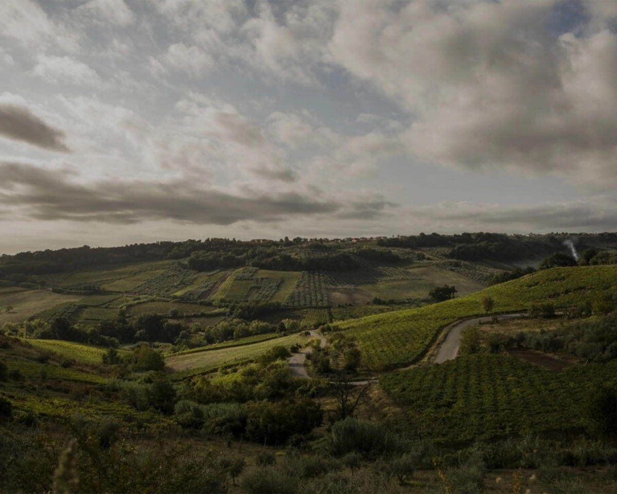 Vigneti Romio