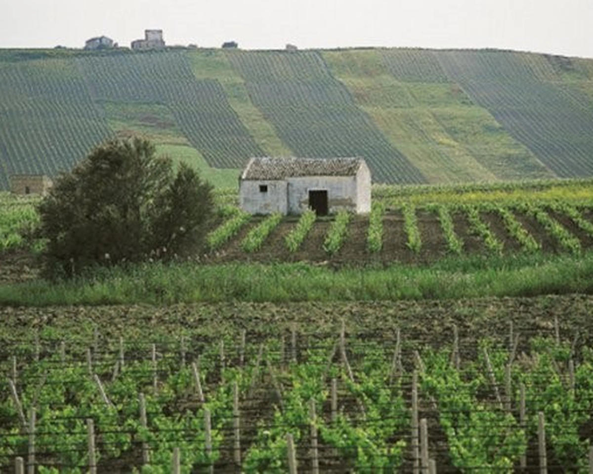 Sogno del Sud