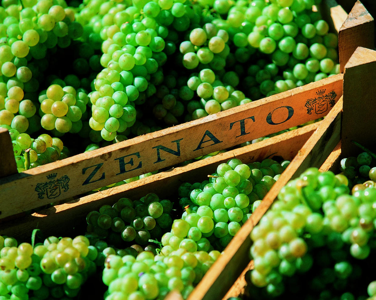Zenato