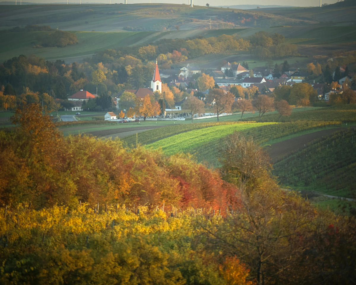 Weinrieder