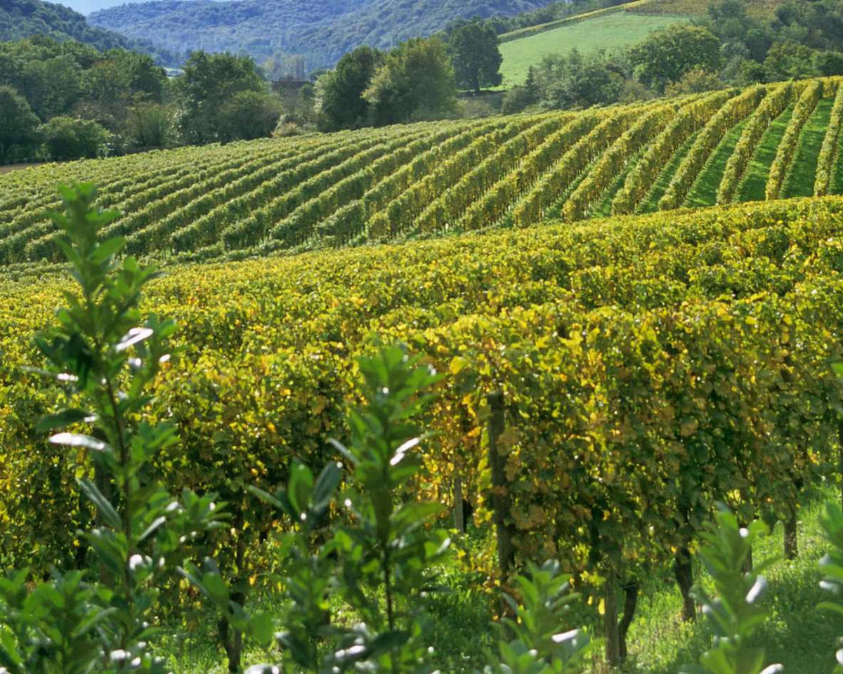 Quinta de Linhares