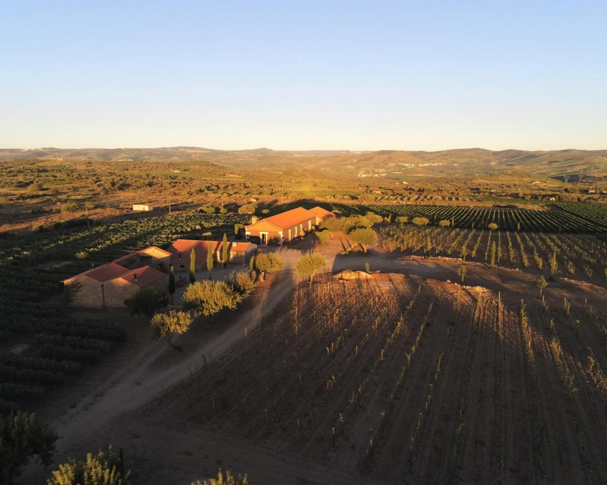 Quinta da Pedra Escrita