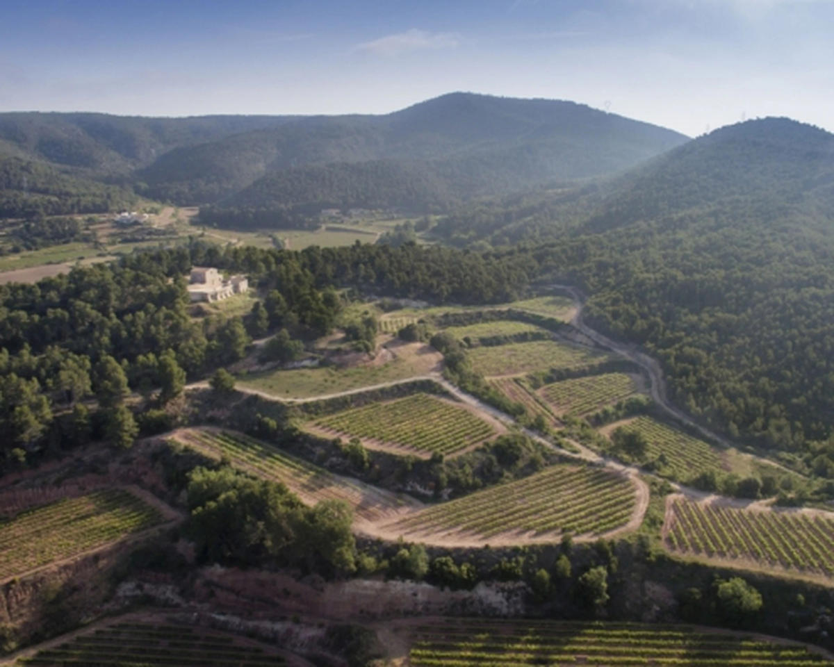 Bodegas Concavins