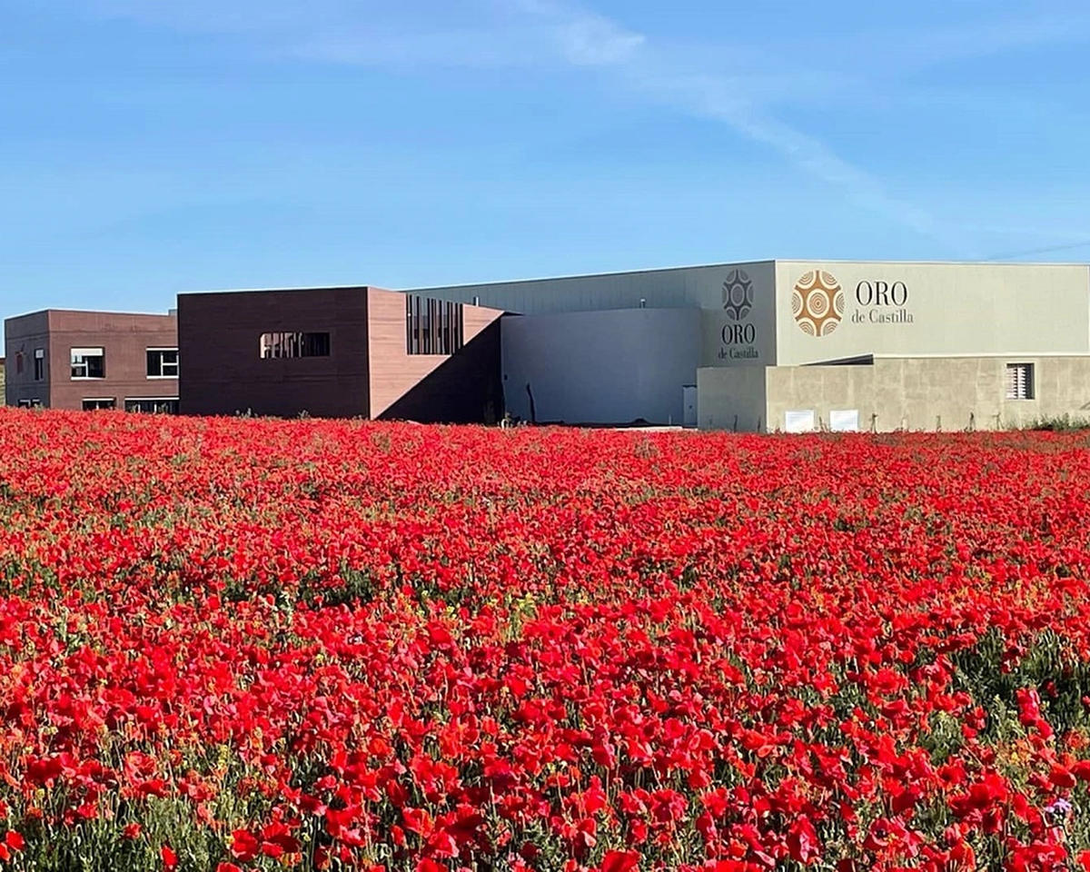 Bodegas Hnos del Villar