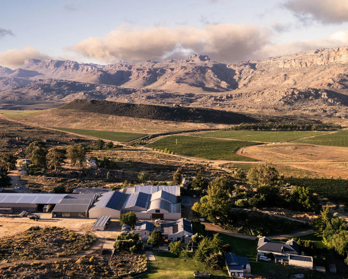 Cederberg Private Cellar