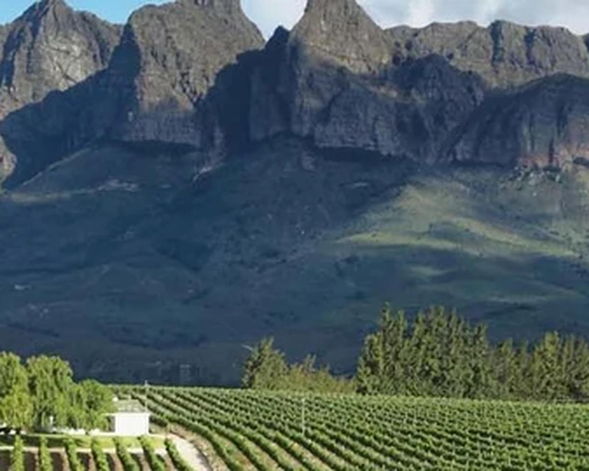 Rondebosch