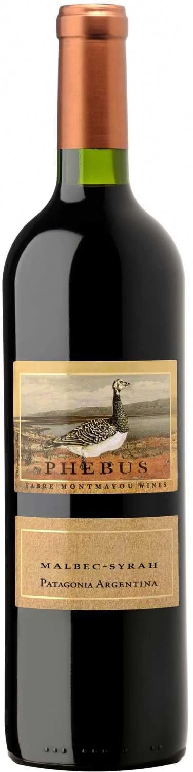 Phebus Malbec Syrah - Patagonia