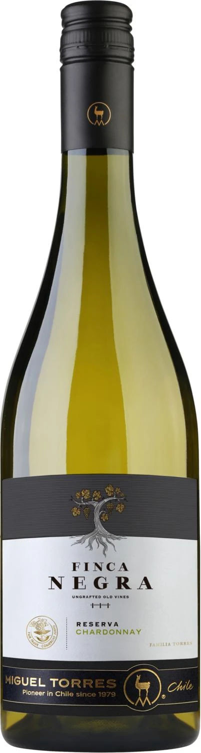 Torres Finca Negra Chardonnay Reserva