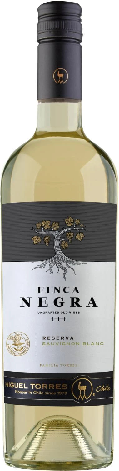 Torres Finca Negra Sauvignon Blanc Reserva