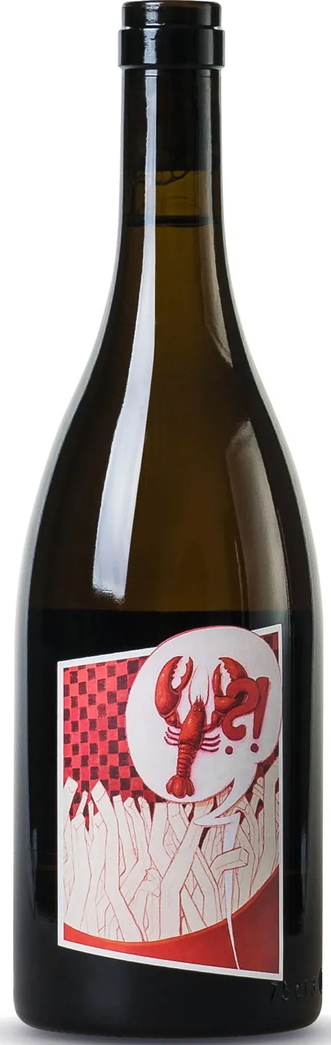 Neverland Opus K cuvée prestige - Bio