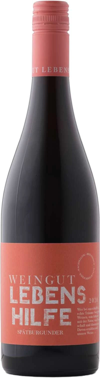 Weingut Lebenshilfe Spätburgunder - Bio