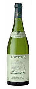 Torres Milmanda Chardonnay - D.O. Conca de Barberá