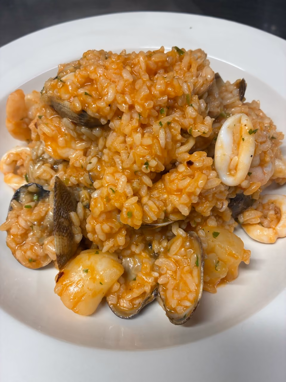 Plate of seafood risotto with rice, clams, shrimp, and calamari rings in a light sauce.