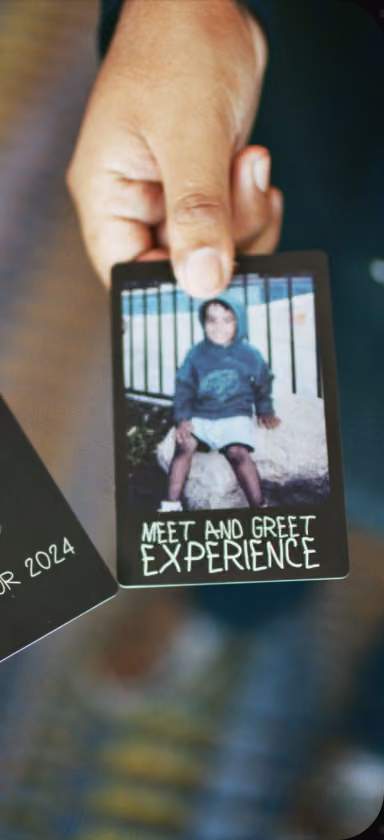 VIP experience
