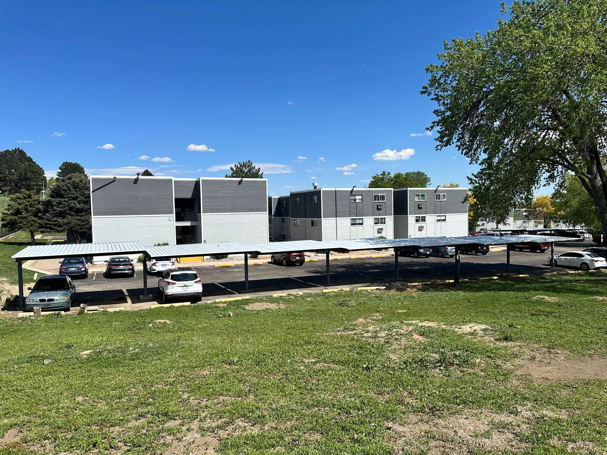 View of Sierra Vista parking lot, grass and carports
