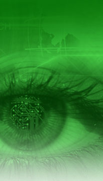 Private Investigators